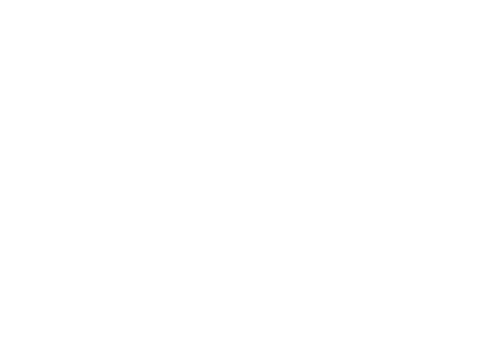 Mr.Fidens